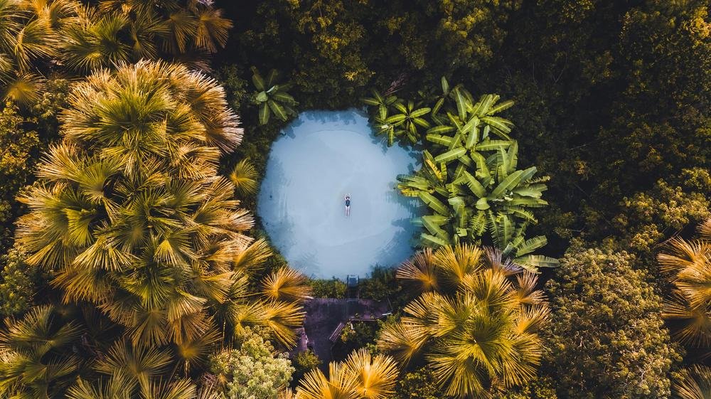 An aerial view of a person floating in a small, clear blue natural pool surrounded by a dense, lush green and golden tropical forest.