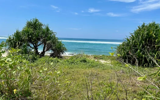 6 Hectares on Pero Beach, Kodi