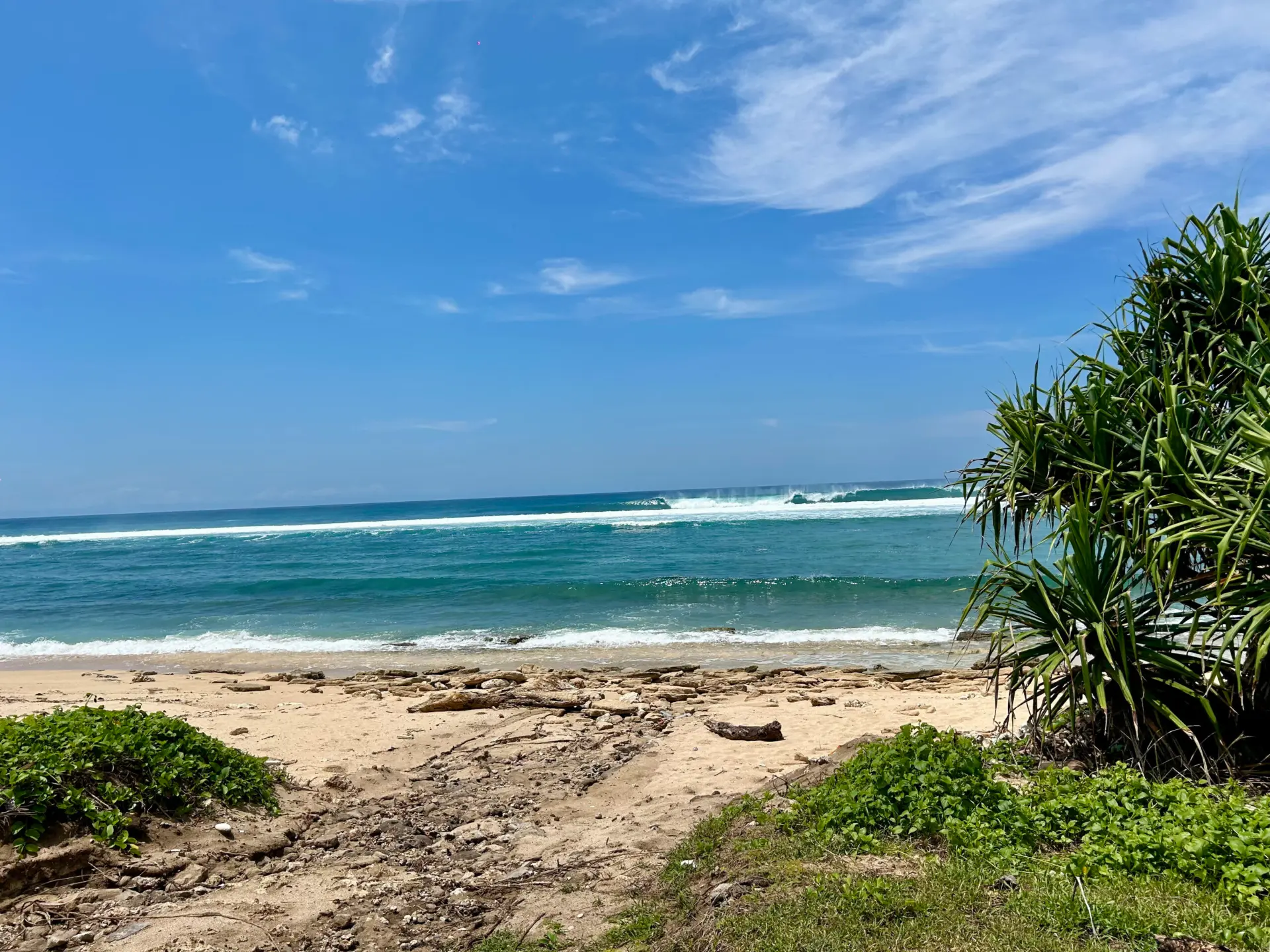 Beach and pandanus trees at Pero, Kodi, in Southwest Sumba